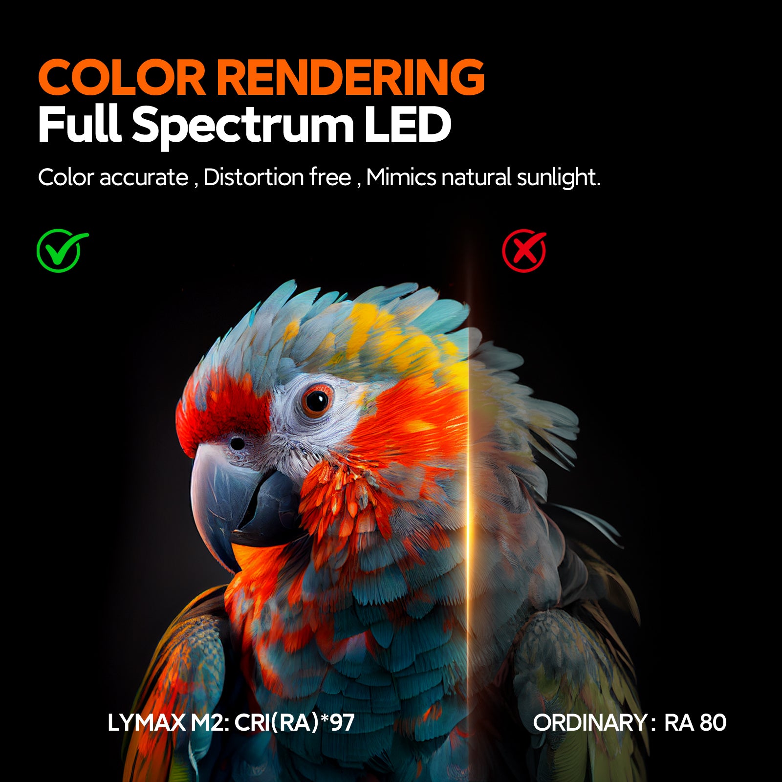 Comparison between high CRI Ra 97 full spectrum LED monitor light and ordinary Ra 80 lamp, showing accurate color rendering on a parrot to mimic natural sunlight.