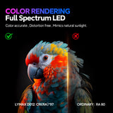 LYMAX RGB Monitor Light Bar | 4 Ambient Backlight Modes & Eye-Care